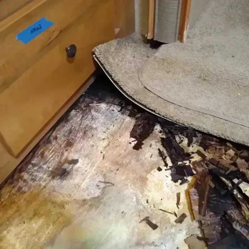 Wood Floor Water Damage in Lena, IL